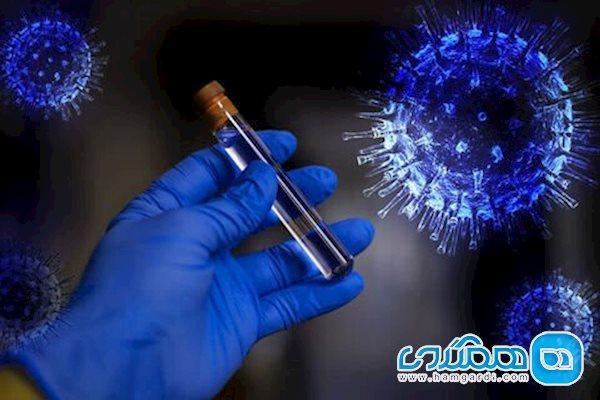 چه عواملی روی بقای ویروس در محیط بسته تاثیر می گذارد؟ چه عواملی روی بقای ویروس در محیط بسته تاثیر می گذارد؟