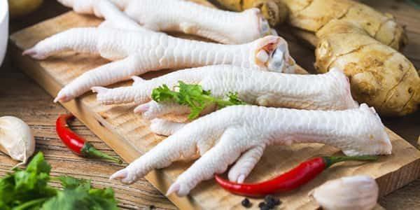 آیا پای مرغ، از پوکی استخوان و راشیتیسم جلوگیری می کند؟ آیا پای مرغ، از پوکی استخوان و راشیتیسم جلوگیری می نماید؟