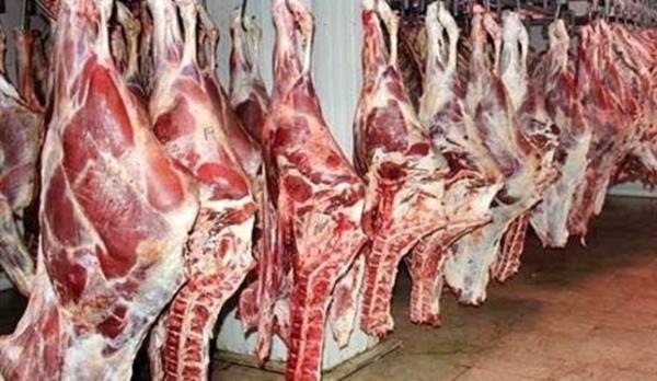 مصوبات مهم کارگروه تنظیم بازار و کالاهای کشاورزی، توزیع گوشت کیلویی حدود 100 هزار تومان شروع شد