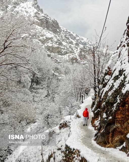 بارش برف و قطع راه ارتباطی 400 روستا در الیگودرز