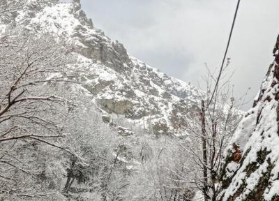 بارش برف و قطع راه ارتباطی 400 روستا در الیگودرز