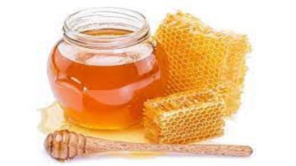 برداشت بیش از 3 هزار تن عسل از کندو های مراغه