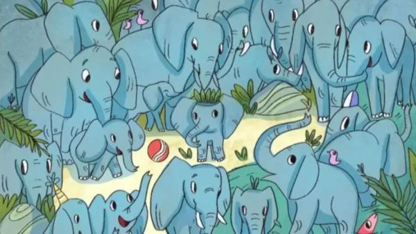 معمای توهم نوری؛ آیا می توانید کرگدن پنهان را در 12 ثانیه در میان فیل ها پیدا کنید؟